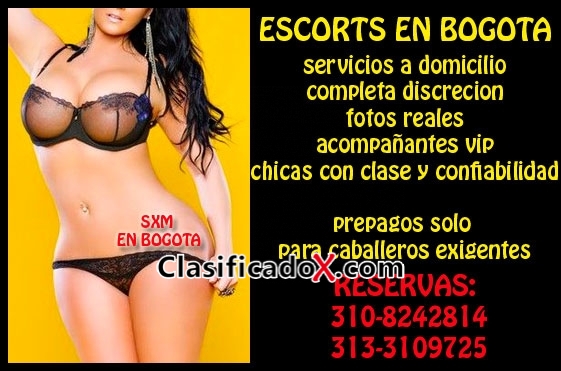 ClasificadoX - Anuncios clasificados relax y contenido erótico