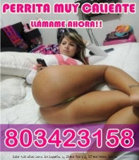 .-..  AMANTE PARA FOLLAR HOY NO COBRO NI PAGO,.,