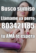 CHICA NINFOMANA BUSCA URGENTE CHICO ARDIENTE