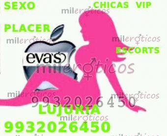 EVAS LAS MEJORES Y MAS BELLAS ESCORTS 9932026450