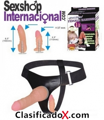 ClasificadoX - Anuncios clasificados relax y contenido erótico