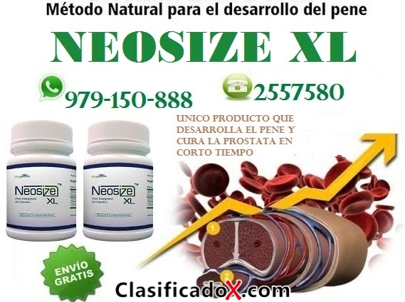 ClasificadoX - Anuncios clasificados relax y contenido erótico