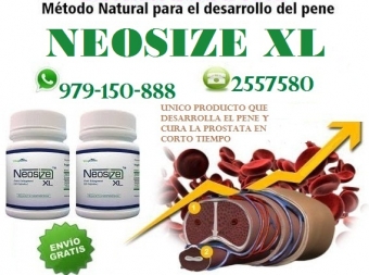 NEOSIXE XL  TELF 2557580 - 931568025