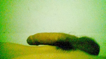 Soy Dilan soy alto, guapo, fuerte y busco pareja para cita sexual