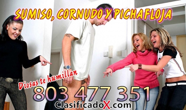 ClasificadoX - Anuncios clasificados relax y contenido erótico
