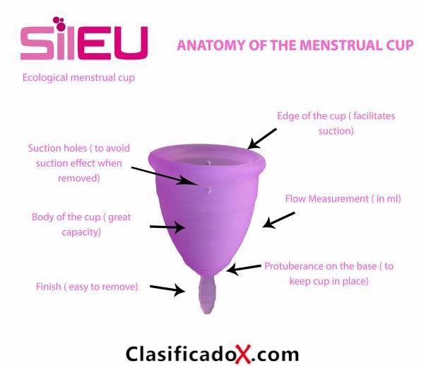 ClasificadoX - Anuncios clasificados relax y contenido erótico