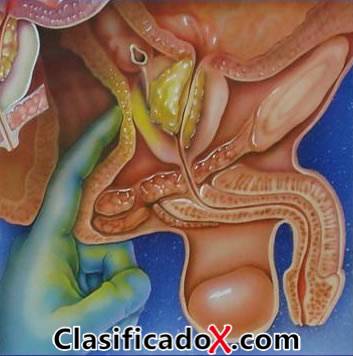 ClasificadoX - Anuncios clasificados relax y contenido erótico