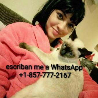 My WhatsApp para coger bien riko +1-857-777-2167