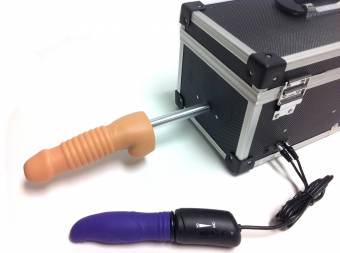 LoveBotz Juguetes Eróticos Caja de Almacenamiento Adecuado para Juegos Sexuales, Incluye Dos Accesorios - 5171 gr. Envíos a Guipúzcoa