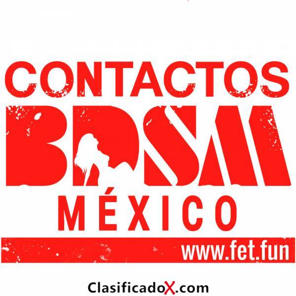 ClasificadoX - Anuncios clasificados relax y contenido erótico