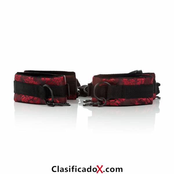ClasificadoX - Anuncios clasificados relax y contenido erótico