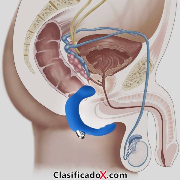 ClasificadoX - Anuncios clasificados relax y contenido erótico
