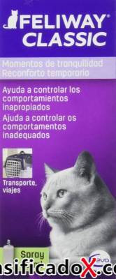 ClasificadoX - Anuncios clasificados relax y contenido erótico