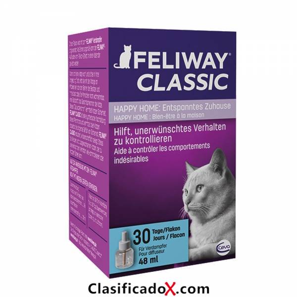 ClasificadoX - Anuncios clasificados relax y contenido erótico