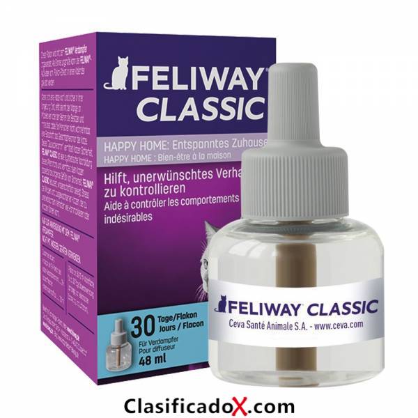 ClasificadoX - Anuncios clasificados relax y contenido erótico