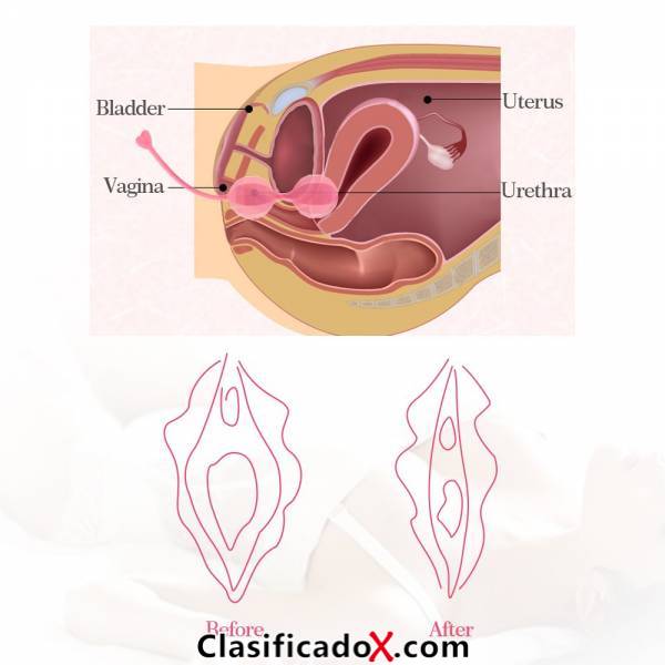 ClasificadoX - Anuncios clasificados relax y contenido erótico
