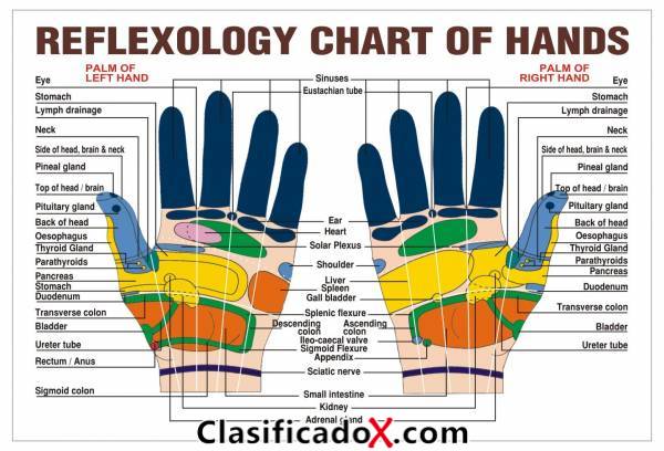 ClasificadoX - Anuncios clasificados relax y contenido erótico