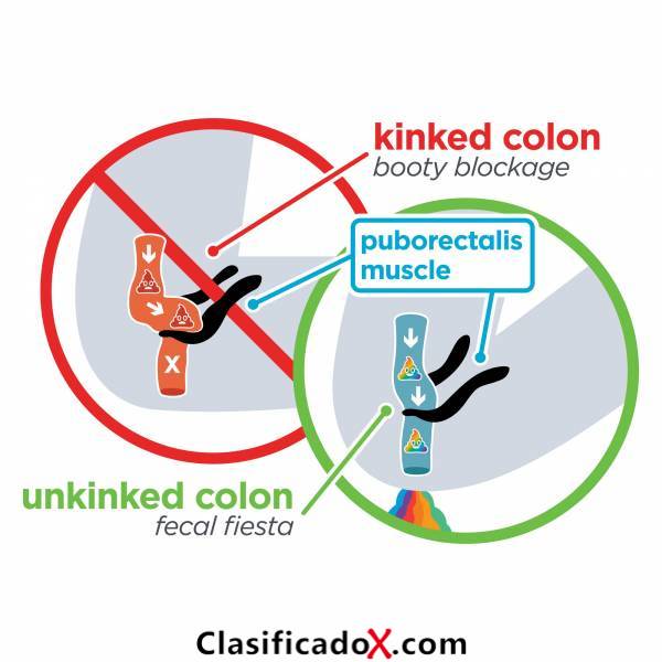 ClasificadoX - Anuncios clasificados relax y contenido erótico