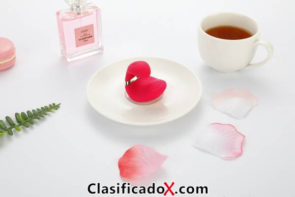 ClasificadoX - Anuncios clasificados relax y contenido erótico