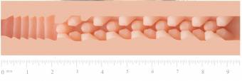 FLESHLIGHT GIRLS THE SIGNATURE COLLECTION: Jenna Haze Textura Obssesion. Masturbador Masculino. Envíos a Castellón