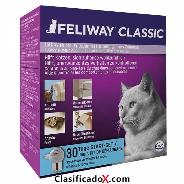ClasificadoX - Anuncios clasificados relax y contenido erótico