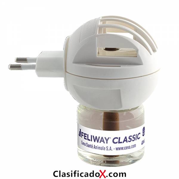 ClasificadoX - Anuncios clasificados relax y contenido erótico