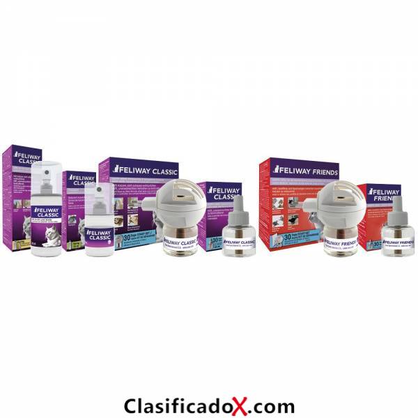 ClasificadoX - Anuncios clasificados relax y contenido erótico