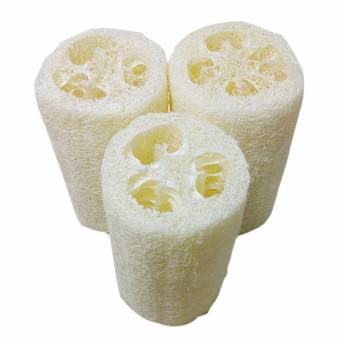 Vococla - 4 PIEZAS Masaje de Lufa Natural Baño de Esponja Ducha Spa Corporal Scrubber Exfoliante Depurador. Envíos a Huelva