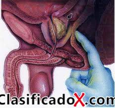 ClasificadoX - Anuncios clasificados relax y contenido erótico
