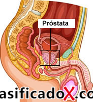 ClasificadoX - Anuncios clasificados relax y contenido erótico