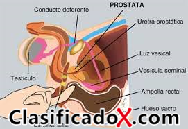 ClasificadoX - Anuncios clasificados relax y contenido erótico