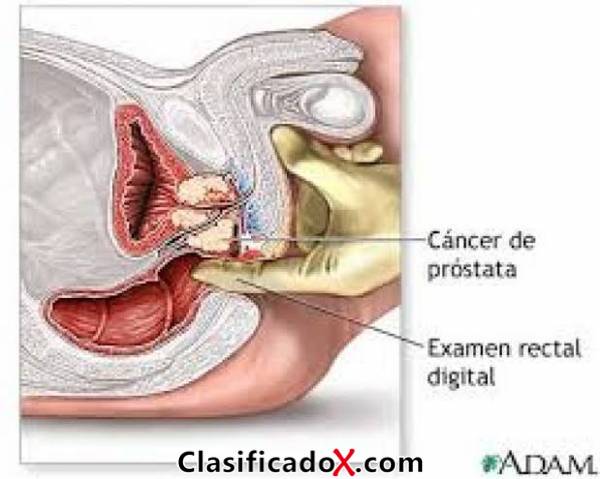ClasificadoX - Anuncios clasificados relax y contenido erótico