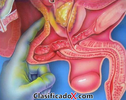 ClasificadoX - Anuncios clasificados relax y contenido erótico