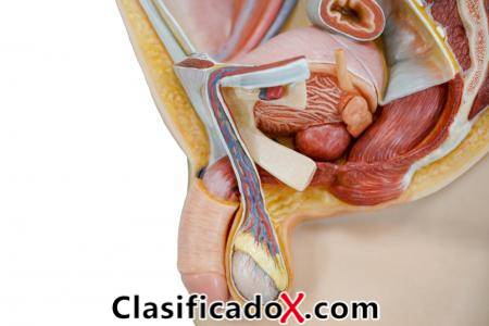 ClasificadoX - Anuncios clasificados relax y contenido erótico