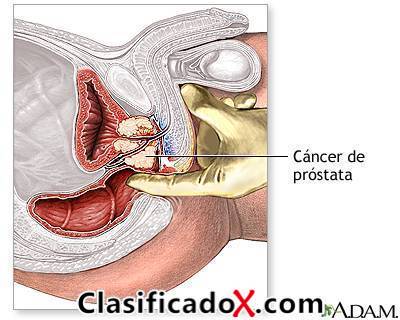 ClasificadoX - Anuncios clasificados relax y contenido erótico