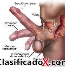 MASAJE  PROSTATICO  ARA CABALLEROS CUENTO CON LUGAR   EVITA SER PRECOZ