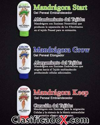 ClasificadoX - Anuncios clasificados relax y contenido erótico