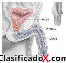 ClasificadoX - Anuncios clasificados relax y contenido erótico