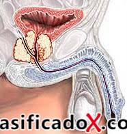 ClasificadoX - Anuncios clasificados relax y contenido erótico