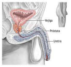 ********************pon mucha  atencion  si tu problema es  que  te vienes rapido  o no hay erecsion
