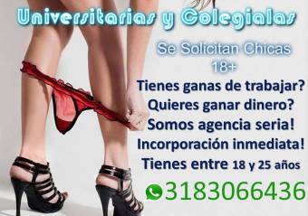 eres joven mayor de 18 años quieres hacer parte de nuestro catálogo de ACOMPAÑANTES PREPAGO para prestar servicios de domicilios en BOGOTÁ.