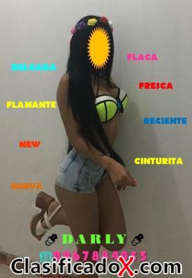ClasificadoX - Anuncios clasificados relax y contenido erótico
