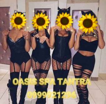 Quito Culito Respingon, Cariñosa, Mimosa, Fiestera A Tope.