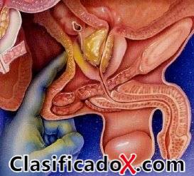 ClasificadoX - Anuncios clasificados relax y contenido erótico