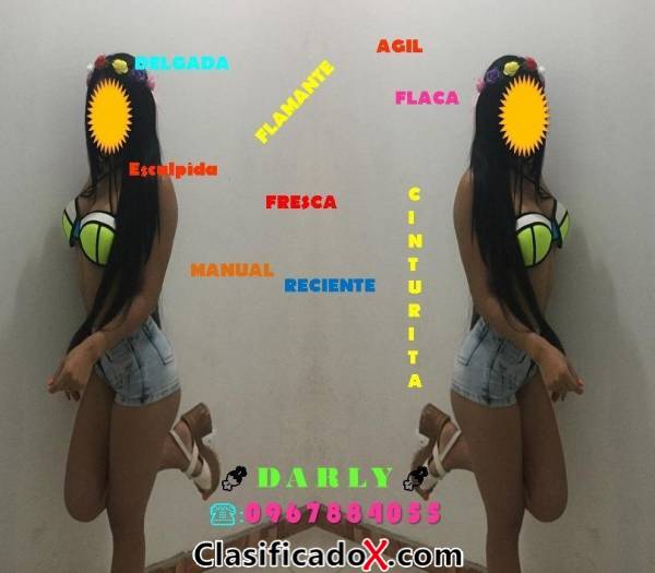ClasificadoX - Anuncios clasificados relax y contenido erótico