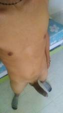 Mcbo norte bisexual activó