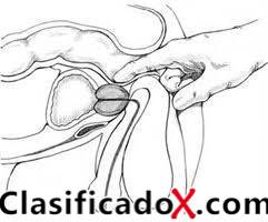 ClasificadoX - Anuncios clasificados relax y contenido erótico
