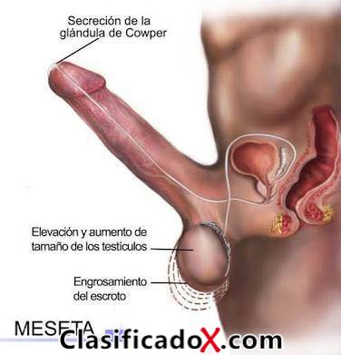 ClasificadoX - Anuncios clasificados relax y contenido erótico