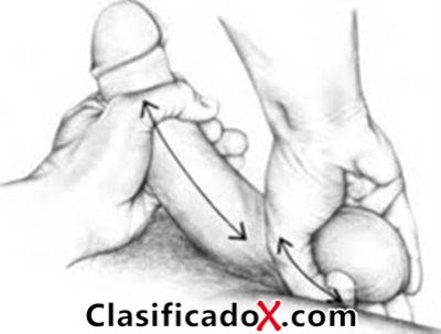 ClasificadoX - Anuncios clasificados relax y contenido erótico