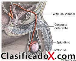 ClasificadoX - Anuncios clasificados relax y contenido erótico